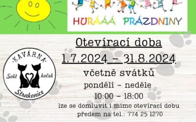 Hurá, jsou tu prázdniny! Kočičí kavárna má stále otevřeno!