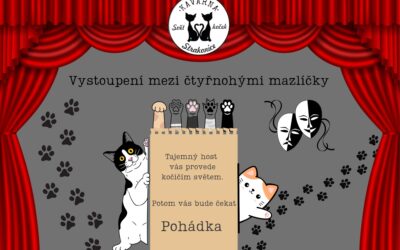 Vystoupení mezi čtyřnohými mazlíčky